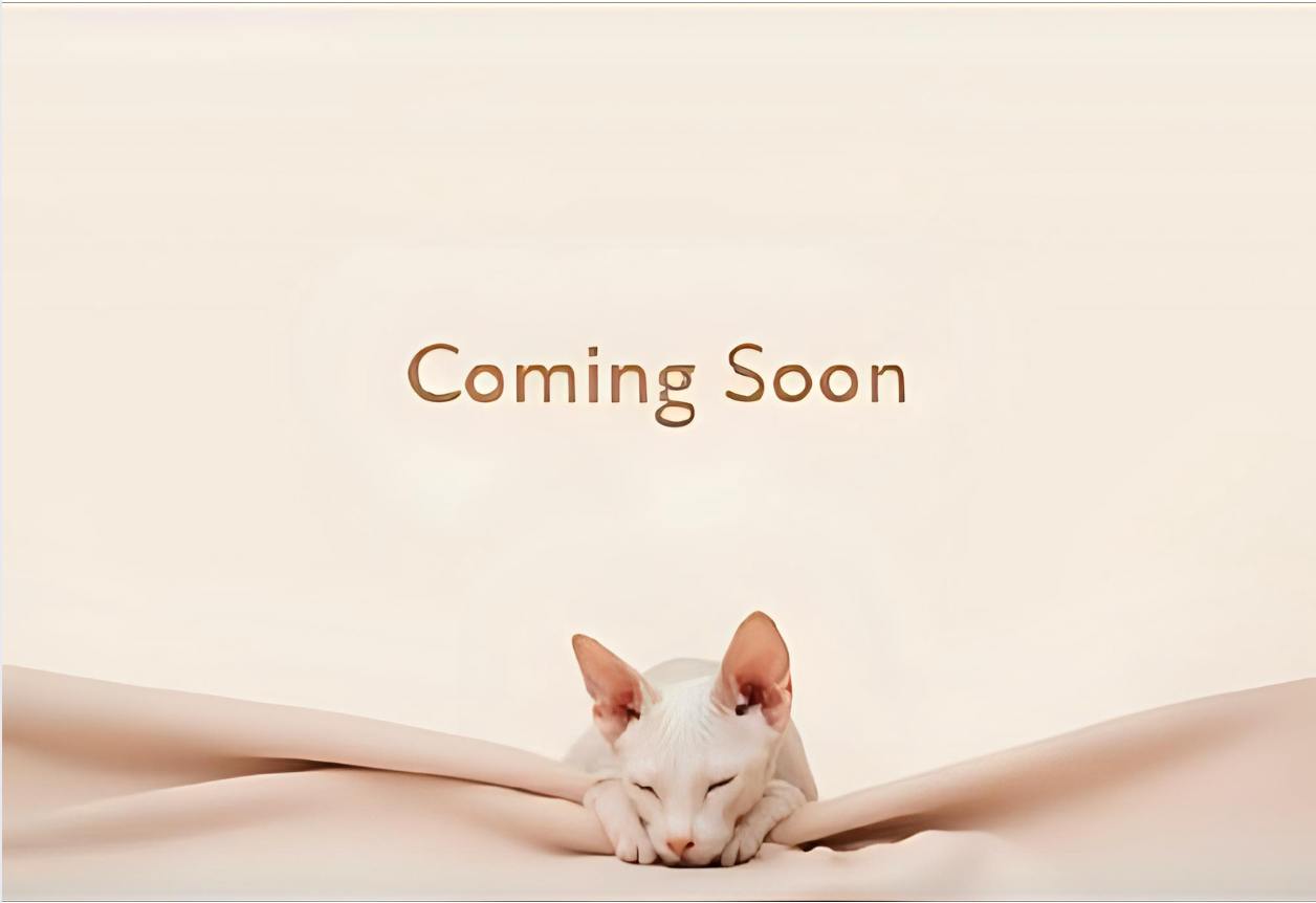 Benjamin - Coming Soon